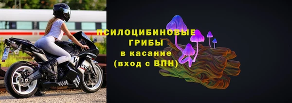 ешки Беломорск
