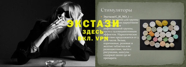 молекула духа Богданович