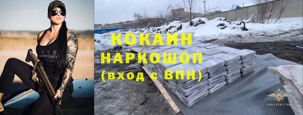 индика Сосновый Бор